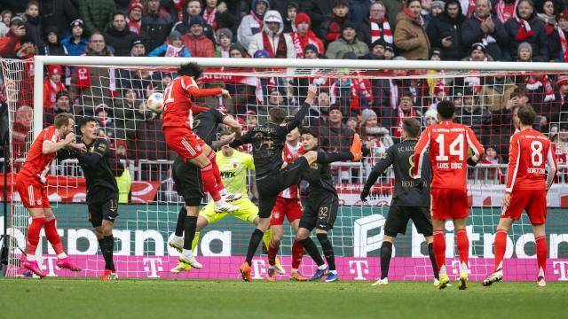 1769333826842034615.jpg 1769333826842034615.jpg